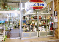 �j���[���낪��